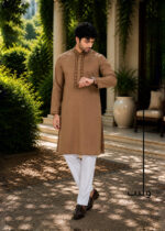 Brown Beige Traditional Embroidery Panjabi