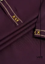 Gold Hand & Contrast Stitch Design Panjabi - Image 2